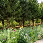Nature Village - Woodly N°23 - 8 Personnes Avec Jacuzzi 롯지 *