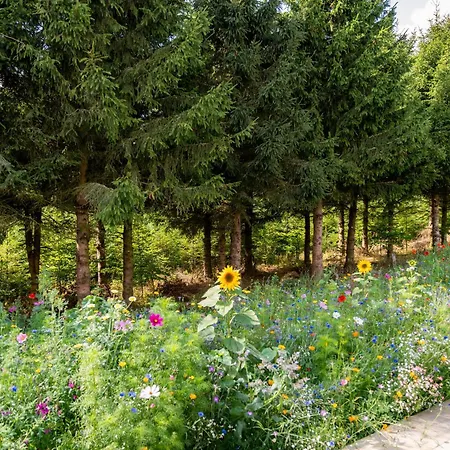 Nature Village - Woodly N°23 - 8 Personnes Avec Jacuzzi Lodge *
