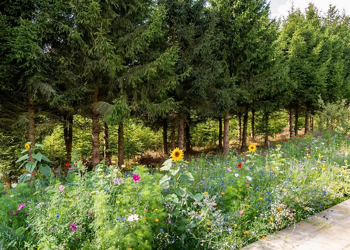 Nature Village - Woodly N°23 - 8 Personnes Avec Jacuzzi Lodge *